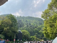 -黔灵山公园