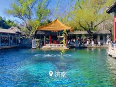 -趵突泉景区