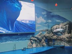 -福州罗源湾海洋世界旅游区