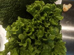 -炉队长·齐齐哈尔家庭烤肉(马家堡店)