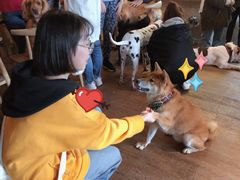-萌喵咖啡屋(人民东路4号口M16商铺店)