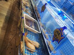 -小平岛開海水饺(浑南店)