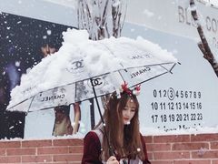 -Blue Concept Cafe&Farm·關於藍