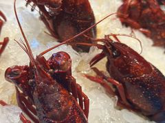 -袁老大龙虾(石鼓路总店)