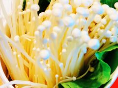 金针菇-捞围鲜·港式打边炉(海阳路店)