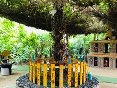 -呀路古热带植物园