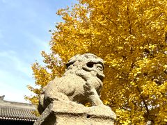 -北京石刻艺术博物馆(五塔寺)