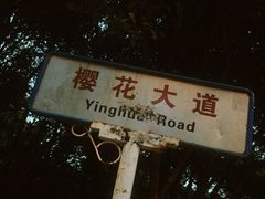-武汉大学-樱园