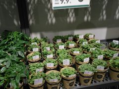 -鹿岛会员店 (龙湖三千集天街店)