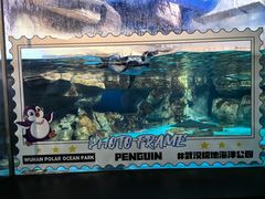 -海合安武汉极地海洋公园