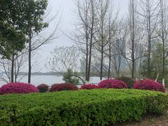 -艾溪湖湿地公园