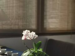 -煮雨小筑(斜塘老街店)