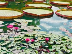 -国家植物园南园