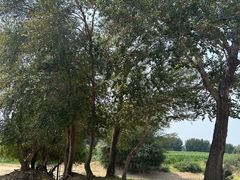 -银沙湾旅游区-好汉坡停车场