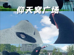 -都江堰景区