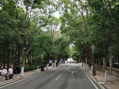 -八大关景区