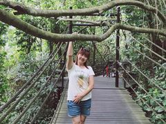 -呀诺达热带雨林