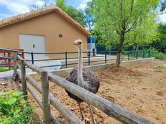 -大连森林动物园