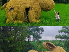 -嘉北郊野公园