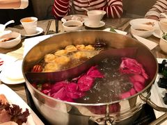 -四季火锅酒家(新濠影汇店)
