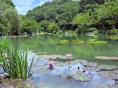 -云溪植物园