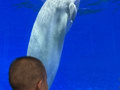 -泉城欧乐堡海洋极地世界