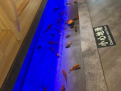 景观位-九田家黑牛烤肉料理(中北镇店)