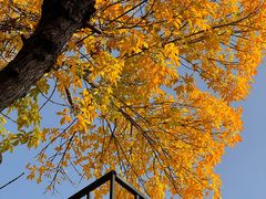 -M Stand(上海人民广场来福士店)