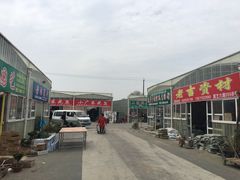 -龙大花卉苗木市场