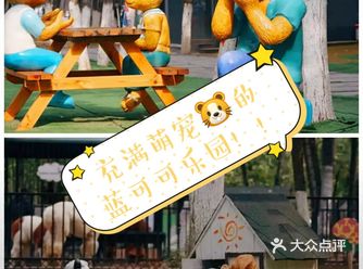 春天的遛娃萌宠计划！！