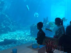 -天津湾西餐厅(三亚海棠湾洲际度假酒店)