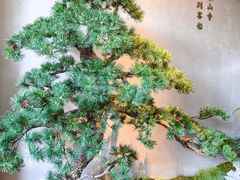 -蘇锦宴·淮扬菜烤鸭·小院(三元桥霄云路店)