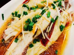 葱油东星斑-谊荣海鲜大牌档(石湖店)