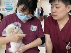 -美联众合动物医院·24h京西诊疗中心