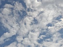 -浔味·山屿湖·正宗淳牌全鱼宴老字号