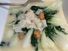 鱼肚浓汤浸时蔬-陶陶居·雅园(凯华国际店)