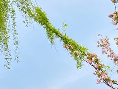 -海棠花溪(元大都城垣遗址公园)