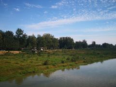 -五里湖湿地公园