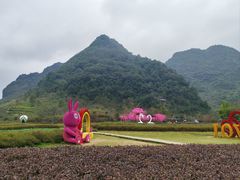-靖西鹅泉风景区