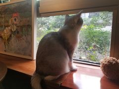 -咖法森林·咖啡  酒吧(天河店)