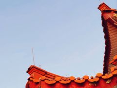 -深圳市中科院仙湖植物园