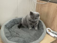 -瑞派宠物医院·犬猫全科·猫友好(宾水西道店)