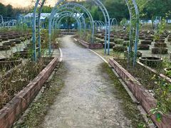 -杭州植物园