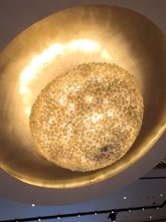 -上海浦东喜来登由由大酒店·宴会厅