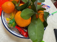 -津津名菜馆(绝没分店)