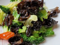 什锦上素-顺承小院儿