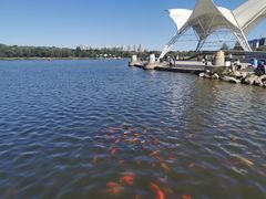 -长白岛森林公园