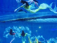 -华夏文旅海洋公园