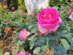 -人民公园(罗湖区)