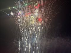 -花博汇(知音花月夜)